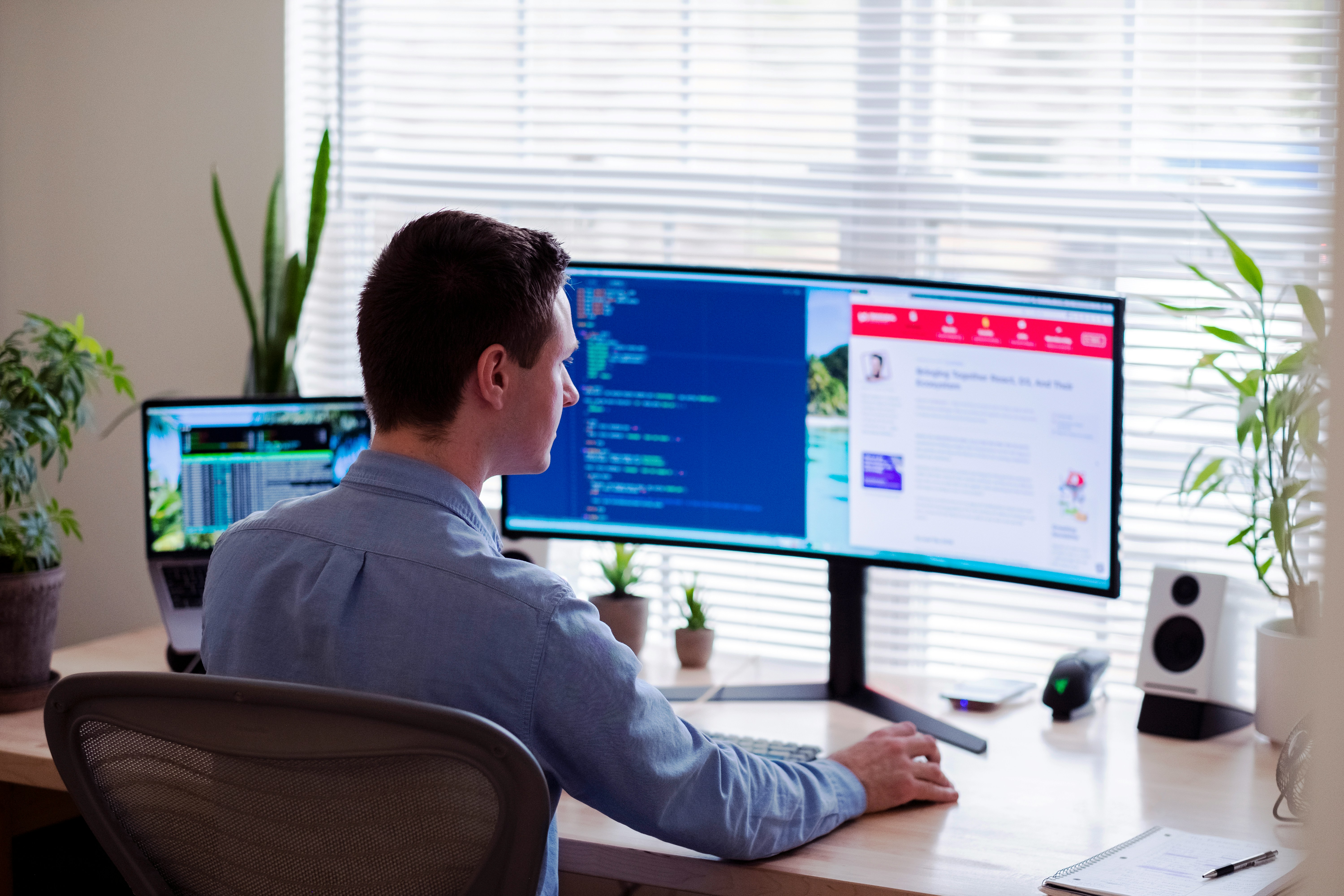 Custom School Management Software Development Services